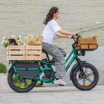 Fiido T2 Vélo électrique Longtail Fatbike Cargo – Image 2